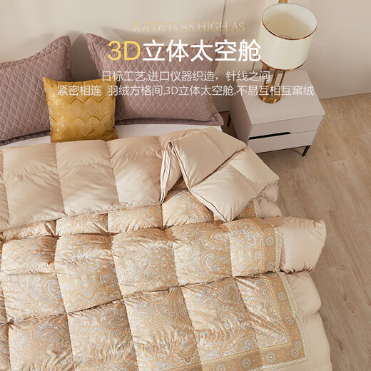 Boyang Boyang Textiles para el hogar 95% Down Edredón Húngaro White Goosevelt Quilcha Invierno CALIZACIÓN ANIBACTERIAL Agrasa espesada Edredón de invierno [Hungría] 95 Quilcha de invierno White Goosevelt 220*240cm