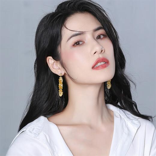 Qlady metal temperament niche tassel unique earrings for women 2025 new high-end silver earrings women's earrings earrings gift