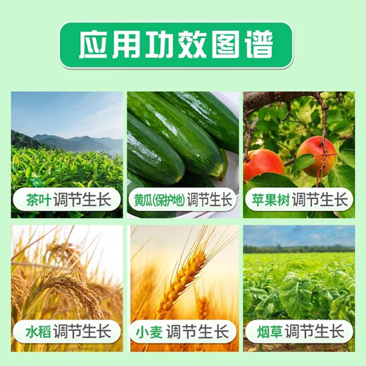 Bihu German Gibberellic Acid Indo-B Brassinoids Preserve Flowers and Fruits and Antidote Drug-Injurious Plant Growth Regulator 3g