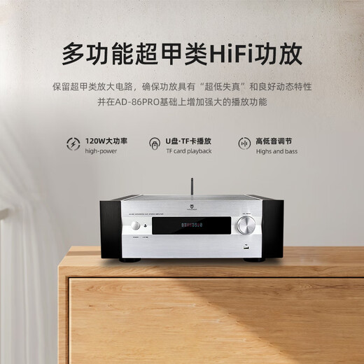 天逸(Winner)AD-86D多功能超甲类家用功放机大功率发烧级HiFi功放音响套装2.0高保真数字功放 天逸AD-86D +Bronze 铜100