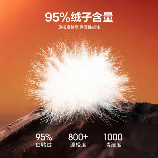 HLA Hailan House Down Jacket Men's 25 Aurora Nine-Five Down Series Hoodless Stand Collar Jacket Men's Winter