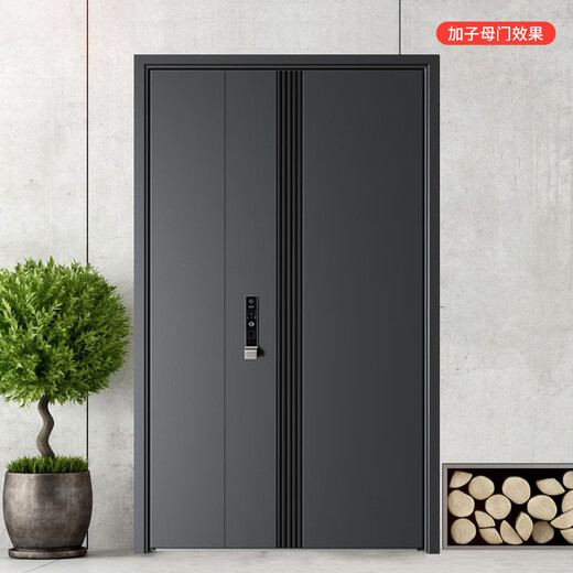 顾好甲级防盗门入户门＋单门子母门安全门+防撬暗铰链＋防火岩棉填充＋人脸识别智能锁 星空灰 2050*1050-2150*960 镶嵌式远程可视智能锁