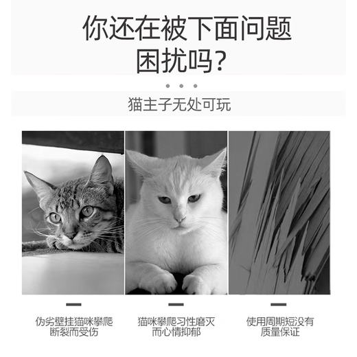 Cat climbing frame wall-mounted solid wood wall-mounted cat jumping platform cat nest space capsule DIY component 40cm 1 layer horizontal space capsule