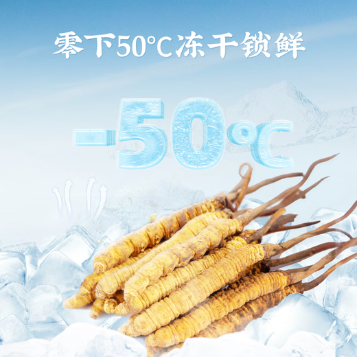 Lei Yun Shang Cordyceps sinensis Freeze-dried Cordyceps sinensis Cordyceps sinensis Selected high-quality Cordyceps sinensis Cordyceps sinensis Send parents to relatives and friends A32-1g Broken Grass*3 boxes