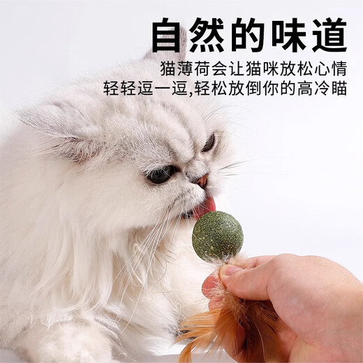 Cat Toy Cat Mint Ball Feather Teeth Grinding Self-Enjoyment Relieve Boredom Cat Grass Slice Ball Funny Cat Stick Cat Hair Loss Cat Special Pet Feather Toy - Mint Ball - 1