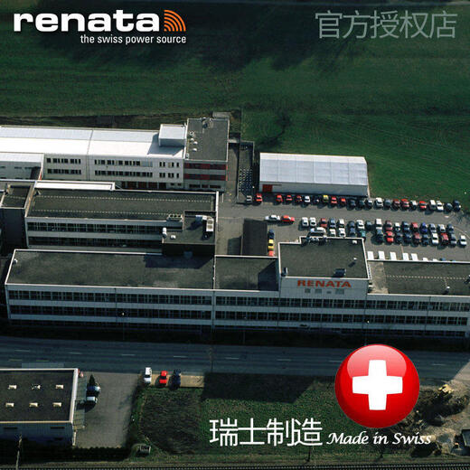 Renada suitable button electronic LS/GS3382/3702/3529/3532/3612/3502/3886/3772S/DD Watch model GS31060B.D.B.B (battery 2