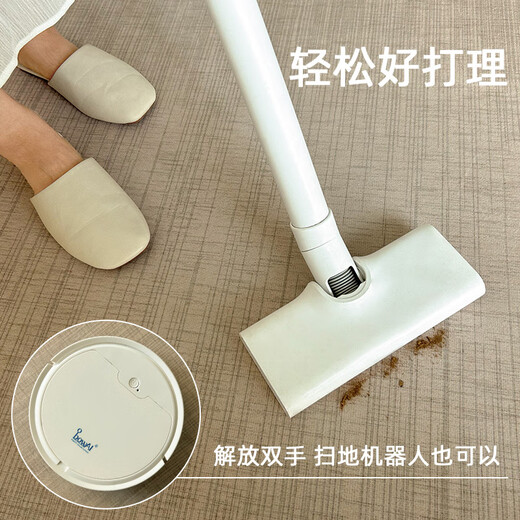 地毯客厅异形沙发茶几毯免洗可擦不规则家用防水耐脏卧室 现代8475 180cm*280cm【亲肤舒适 不易掉毛