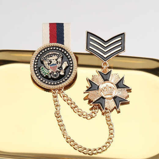 QUAMER Gold Store Model 2024 New Badge Brooch College Style Men's and Women's Fashion Metal Brooch Student Uniform A1
