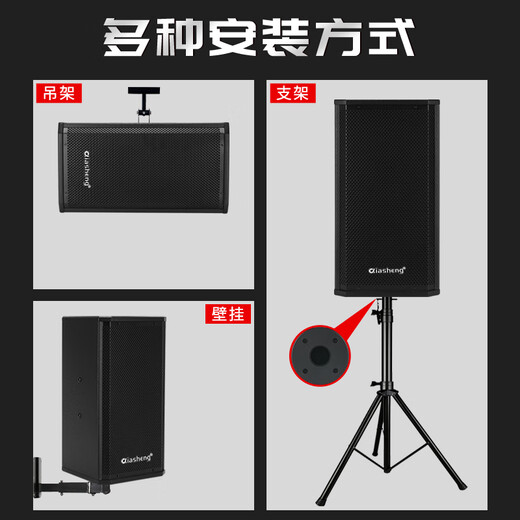 
QIASHENG Chasheng Professional Small and Medium Conference Room Audio Special Wall-mounted Speaker Amplifier Wireless Microphone Combination Home KTV Teaching and Training Audio System Equipment Two Special Prices 10 Inch Conference Audio Set (No Microphone)