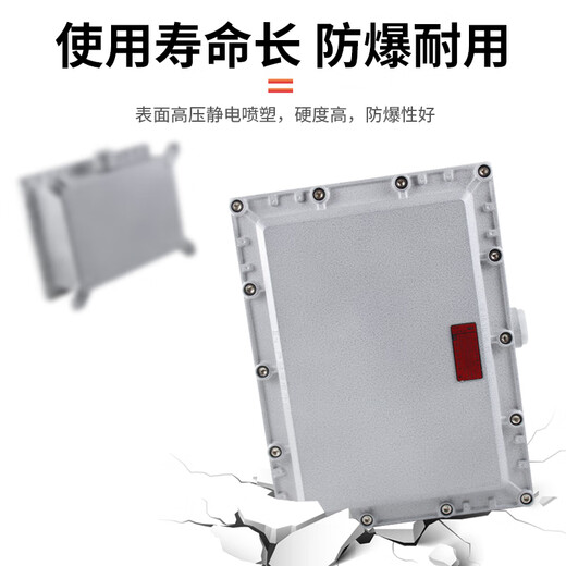 Explosion-proof distribution box BXJ explosion-proof wiring empty box instrument power supply control shell maintenance power 300300150 explosion-proof type
