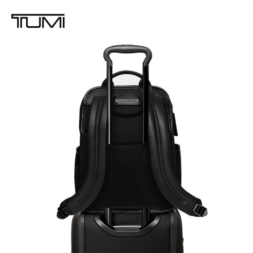 途明（TUMI）男士双肩包高端商务时尚通勤电脑包 黑色 096303207DO 送礼物