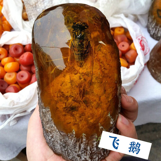 Flying Goose Artificial Amber Beeswax Insect Amber Ornament Zhenzhi Cicada Specimen Crafts Office Living Room Insect Amber Tree Stump Picture Color No. 10 Trumpet Ornament