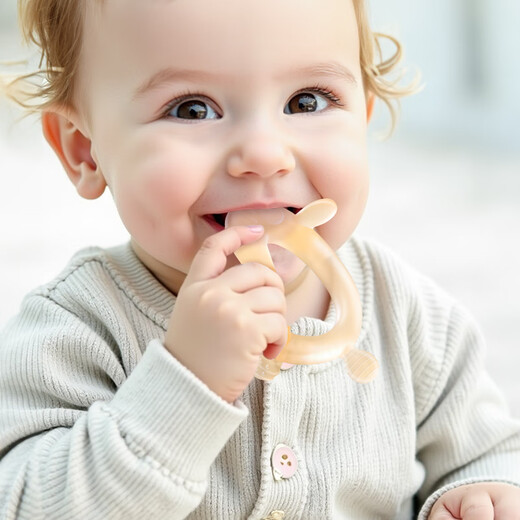 WINSLEOWINSLEO German brand teething stick baby teether chewing gum baby teething period anti-eating hand 468 six months designer nano silver + gift