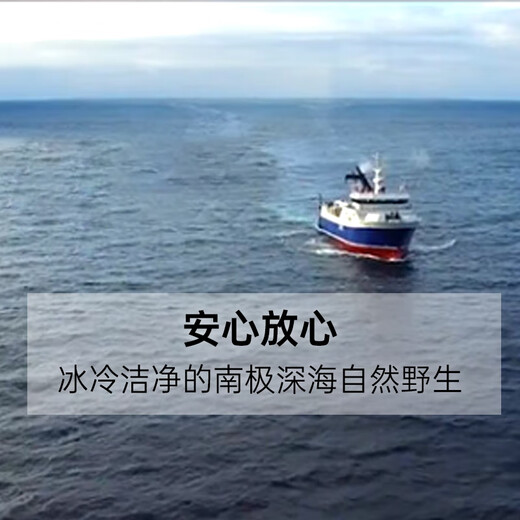 One s Member Store (One s Member) Sam's same factory selects French cod mid-section (1-2 pieces/bag) net weight 1Jin Jin is equal to 0.5kg Antarctic toothfish