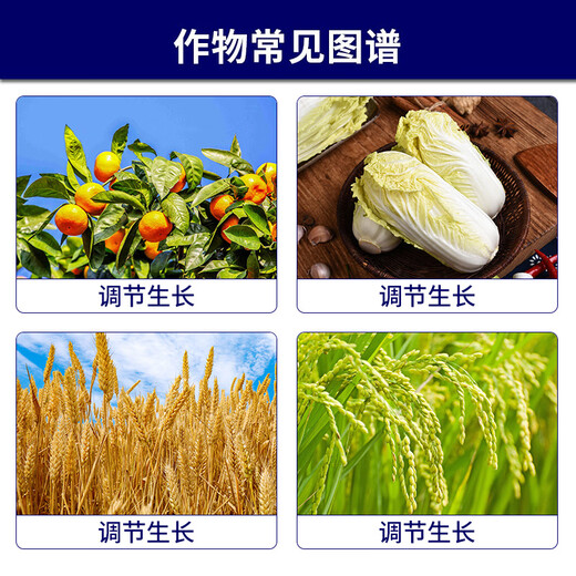 Syngenta Yishibang contains amino acid water-soluble fertilizer for vegetables and flowers to promote blooming and protect flowers and fruits foliar fertilizer 250ml*1 bottle