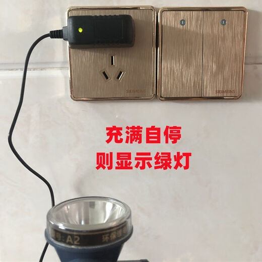 Starke leichte und helle allgemeine Scheinwerferladegerät Kabel Einer rundes Loch Universal Typ 9925 9932 9930 9923 9310 8.4V 2A Rundloch Ladegerät Schnelles Laden