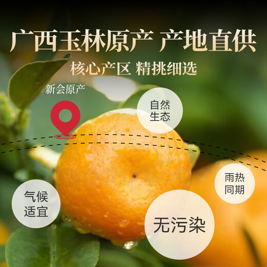 贡苑 纯正陈皮丝100g 无硫老陈皮新会泡水养生橘皮搭枸杞菊花金银花茶养生花草茶罐装