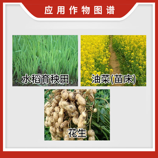 Jianpai Jianpai 15% paclobutrazol, rice field, rapeseed and peanut control growth dwarfing agent, plant growth regulator 200g
