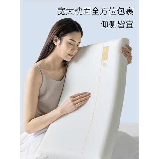 南极人A类慢回弹记忆棉枕头颈椎枕成人睡觉专用酒店深睡pro枕芯一对男枕 记忆枕-低枕42x70x6cm【单只装】