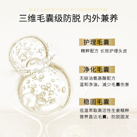 Ziyuan Ingwer verhindert Haarausfall und Haare festes Shampoo für Männer und Frauen Haarausfall Shampoo ölig 400 ml