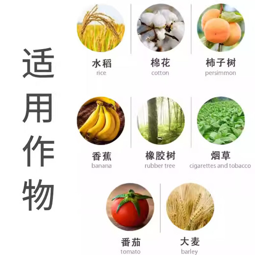 40% ethephon water regulator to ripen and increase yield of banana, cotton, persimmon, rice and rubber tree pesticide 100g