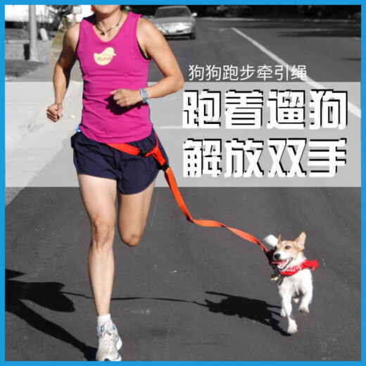 OIMG dog running waist traction rope pet dog chain medium and small dog outdoor elastic explosion-proof walking waist bag traction rope orange (elastic) + polyester harness M (bust 37-52)