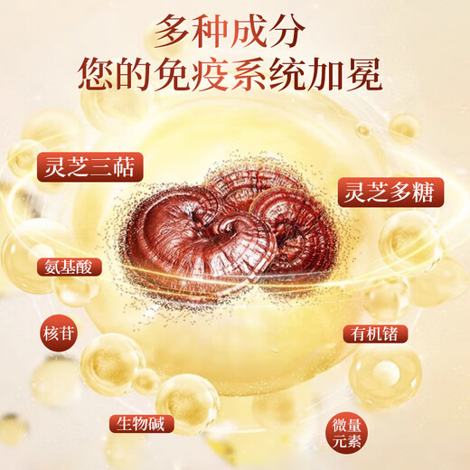 KOBL Ganoderma lucidum spore powder capsule 120 Japanese high-wall-breaking rate Ganoderma lucidum spore oil weak and sickly postoperative chemotherapy [1 bottle of freshly tried] Ganoderma lucidum spore powder