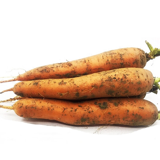 About 500g pureed carrots