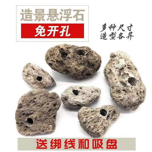 Runhuanian fish tank, water plant landscaping stone, Moss pumice stone, Avatar suspended stone, lazy water plant, water feature, fish and shrimp avoidance ornament, suspended stone package 2, two large and three small, sticky with water