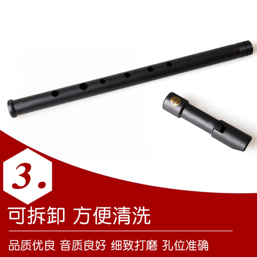 杉贝爱尔兰哨笛初学用成人入门C调D调锡笛亚光树脂磨砂6孔乐器 C调+D调+丰富+教材(套餐更划算)