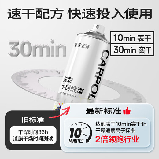 Carpoly ordinary self-spray hand spray paint industrial anti-corrosion paint metal anti-rust paint scratch repair automatic spray paint 450ml silver 1