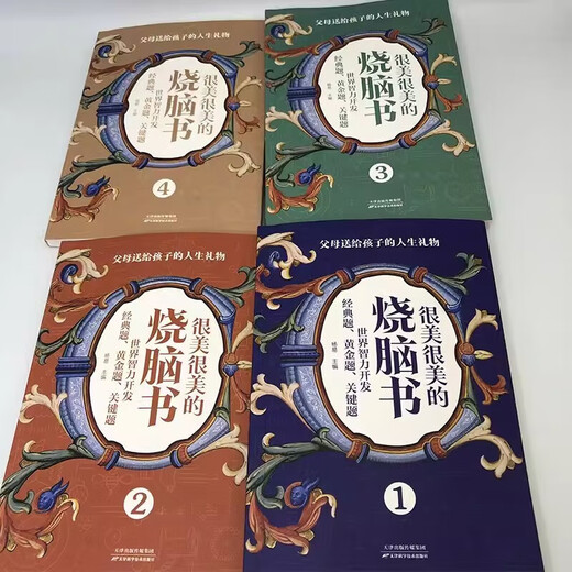 【全新正版】很美很美的烧脑书全4册 世界智力开发经典题7-12岁小学生思维逻辑儿童数学逻辑思维训练开发书14225**9天津科学技术出版社