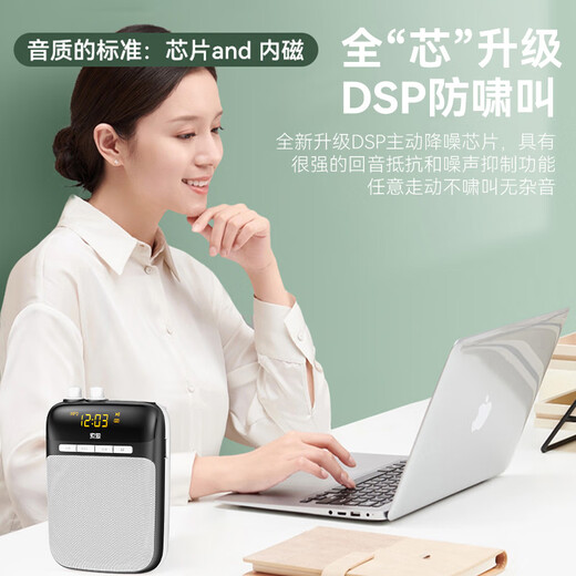 Sony Ericsson (soaiy) S318 Little Bee Amplifier Teacher's Special U Disk TF Card Microphone Speaker Anti-Howling Guide Bluetooth Speaker Outdoor Teaching Lectures TYPE-C Gold