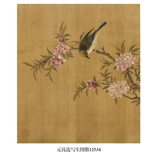 Yuan Qian wählt Skizzier-, Blumen- und Vogelmalerei, hängende Gemälde, antike berühmte Gemälde, runde Fans, neue Malerei -Dekorationsmalerei