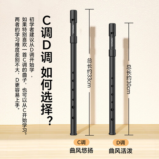 romusic爱尔兰哨笛D调ABS树脂锡笛六孔直笛初学学生教学专业演奏竖笛笛子