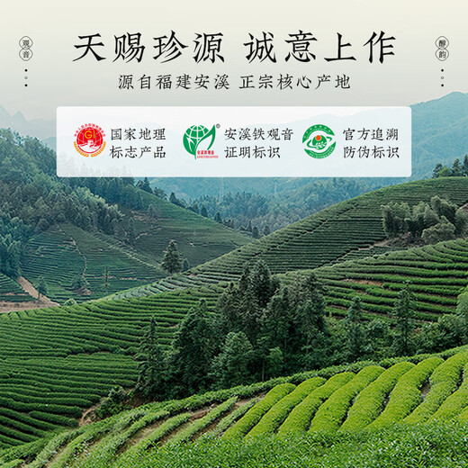 去寻乌龙茶安溪铁观音特级茶叶礼盒装320g非遗传承技艺父亲节送礼品物