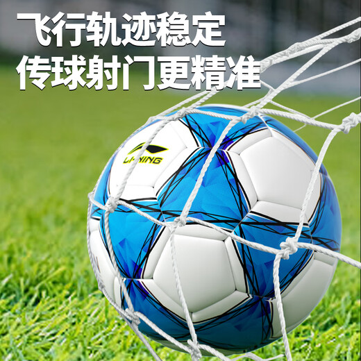 Li Ning Football No. 5 Adult Youth Primary School Students High School Entrance Exam Competition Training Special Children's Standard No. 5 Wear-Resistant Football