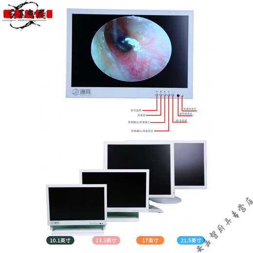 Yong Huan German quality professional visual ear picking instrument HD equipment ear picking shop special commercial ear picking tool ear picking host model GO1:21:5 inch display