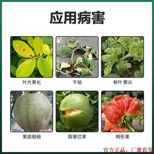 Junyan granular boron wheat fruit tree flower base fertilizer base fertilizer protects flowers and fruits to increase fruit setting rate crops trace element boron fertilizer granular boron 500g * 2 bags two acres of land