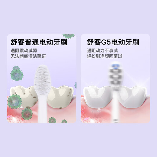Shuke Couple Electric Toothbrush Intelligent Level 1 Cleaning Adult/Student Gift for Boyfriend/Girlfriend Soft-bristled Gum Protector G5 Feather White + Fog Purple Birthday Gift New Year Gift