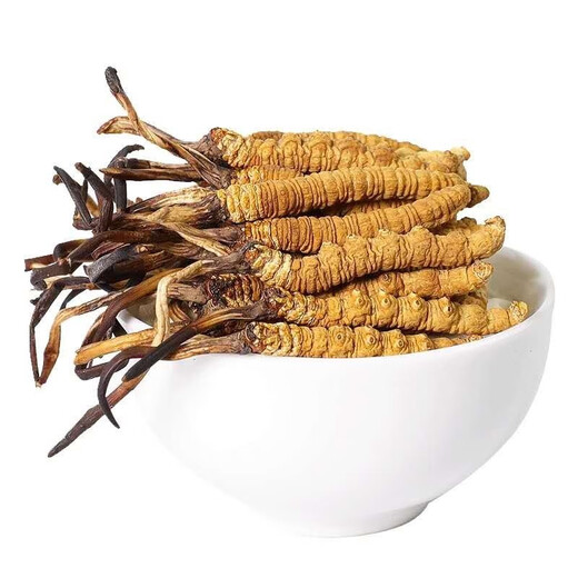 Naqu прямые волосы подлинные дикие тибетские высоко высокие кордицепсы sinensis select