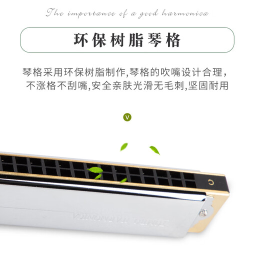 Tombo (Tombo) Japanische 24-Loch-Polyphonische Mundhonica 6624s ältere Anfänger für Kinder, die sich selbst lernt, Harmonica 24-Loch-Set Major 12+Geben 12 große Taschen (bei der Begleitung u Festplatte)