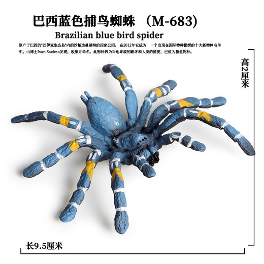 Simulated rubber spider Halloween prank toys Simulated spider poisonous spider insect animal model children's toys Ox-684 Brazilian red velvet spider 0.009KG