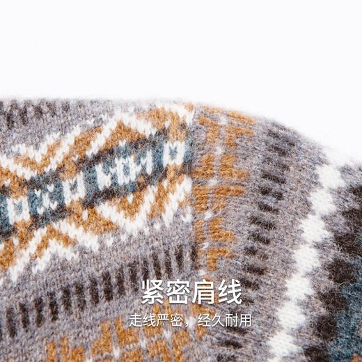 Hodo 100% Wool Patterned Jacquard Cardigan Men's Autumn and Winter Warm Half Turtleneck Sweater Thick Knitted