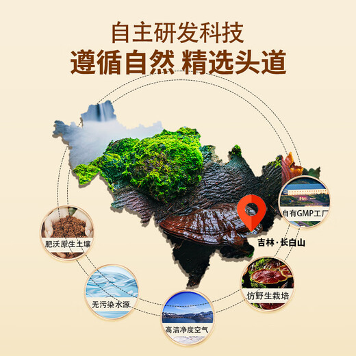 北芝堂破壁灵芝孢子粉长白山灵芝萃取三萜孢子油软胶囊增强免疫力保健品 破壁灵芝孢子粉250g（实惠装）