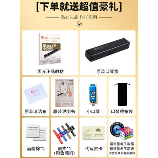 国光口琴24/28孔复音重音c调宽音域口风琴初学者入门学生演奏 28孔 重音宽音域富贵银送全套