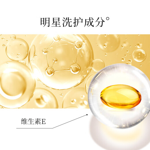 El champú sin silicona de la flor de abeja mejora el frizz y el cabello sano de jengibre esponjoso 600ml*1 botella