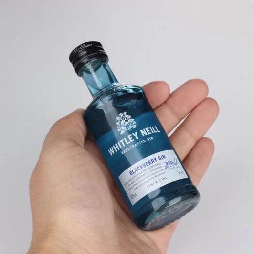 罗曼湖威士忌 伏特加小瓶酒版便利店调酒鸡尾酒 惠特利尼尔黑莓味金酒50ml*1瓶