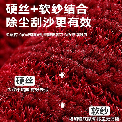 Southern Life high-end entry floor mats, light luxury foot mats, entry door mats, thickened door mats, non-slip mats, red carpets can be customized