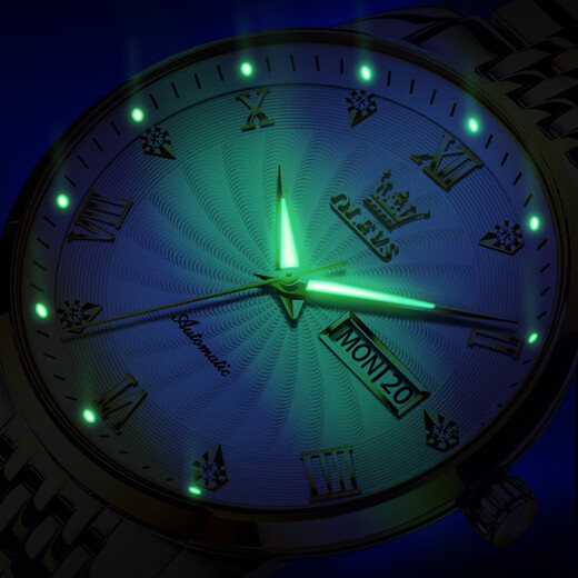 OLEVS Swiss Certified Watch Mechanical Watch Mechanical Watch Totalmente automático Luminoso Water's Watch Doble Calendar Business Watch Olevs-6630 Steel White